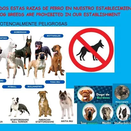 Lavilla Demaria Playa Beach2 Puntal Asturias