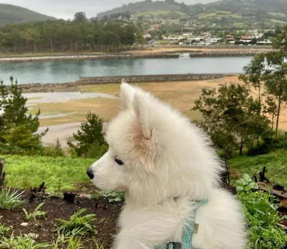 Lavilla Demaria Playa Beach2 Puntal Asturias Villa Villaviciosa (Asturias)