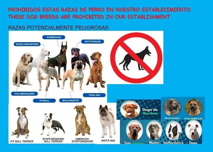 Lavilla Demaria Playa Beach2 Puntal Asturias